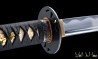 Lightweight steel iaito practice sword