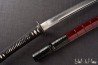 Iaido Set Master | Iaido Gi + Hakama + lightweight Iaito set-13