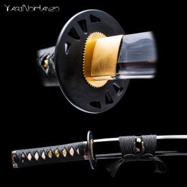 Asakura Wakizashi | Iaito Practice sword | Handmade Samurai Sword-0