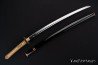 Ryuzoji Katana Limited Edition | Iaito Practice sword | Handmade Samurai Sword-1