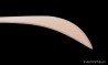 katori wooden naginata
