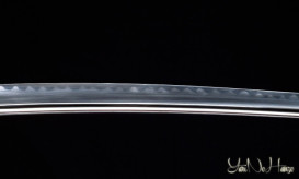 YariNoHanzo Nobunaga battle ready Wakizashi Superior | Shinken Katana for sale online | Online Katana Shop | Buy sharp katana