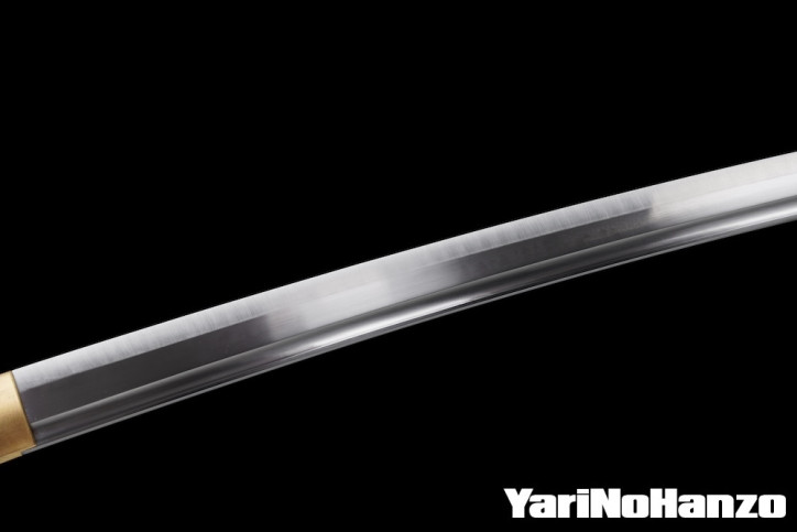 Hori Iaito Katana | Iaido Practice sword | Handmade Samurai Sword