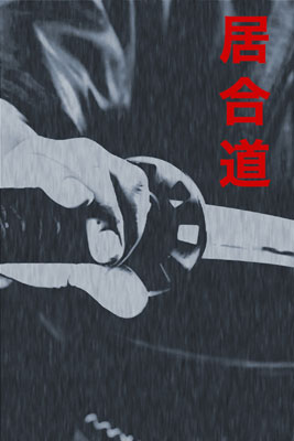  IAIDO 