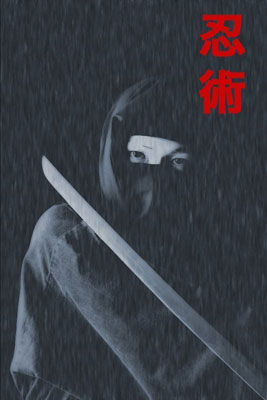  Ninjutsu 